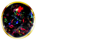 Black Opal Life logo